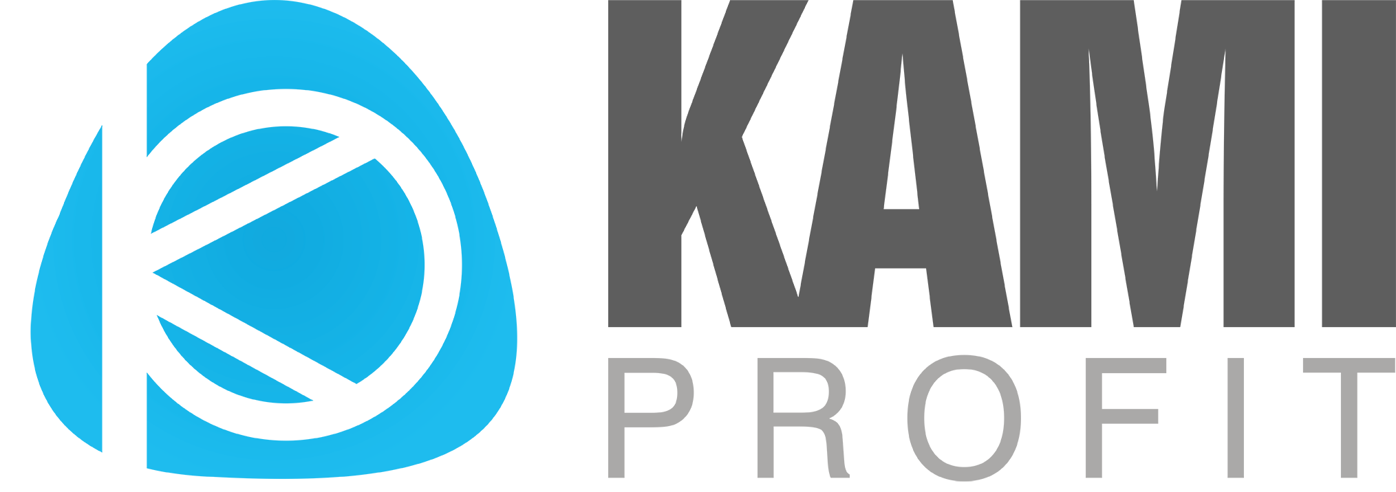 KAMI PROFIT